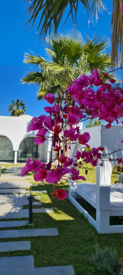 Maison - Dar Ouled Soltane Гамарт Екстериор снимка